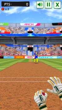 Cricket Fielding Challenge screenshot 1