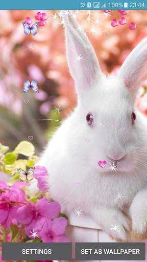 Rabbit Live Wallpaper screenshot 7