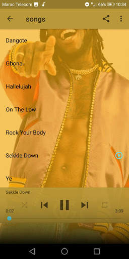 Burna Boy Best Songs -Without Internet 🎶 screenshot 2