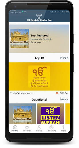 All Punjabi Radio Pro screenshot 1