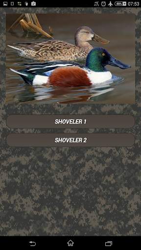 Duck hunting calls screenshot 4