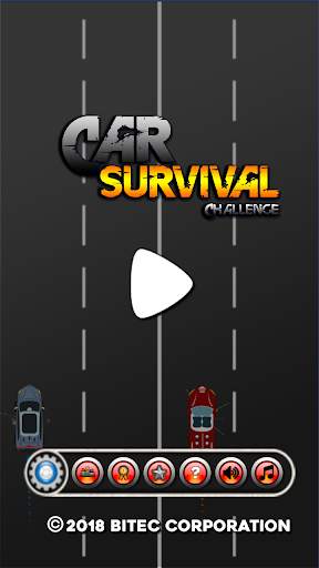 Car Survival Challenge screenshot 1