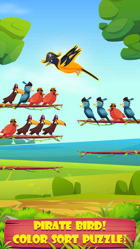 Pirate Bird Sort screenshot 1
