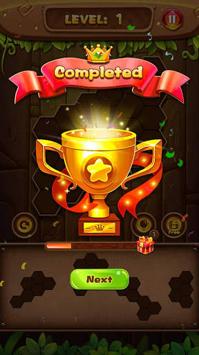 Block Puzzle - Hexa Block Puzzle Games screenshot 5