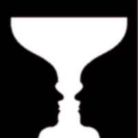 Optical Illusions on 9Apps