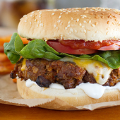 Burger Recipes App icon