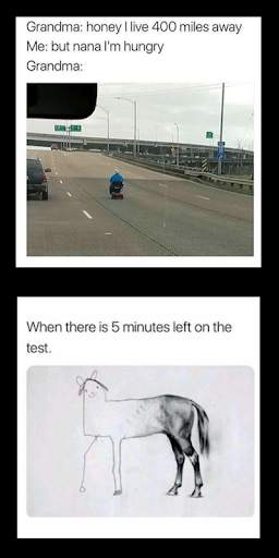 Memes Funny Pictures and Jokes screenshot 2