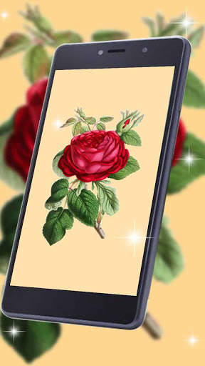 Flourishing Rose Live Wallpaper screenshot 3