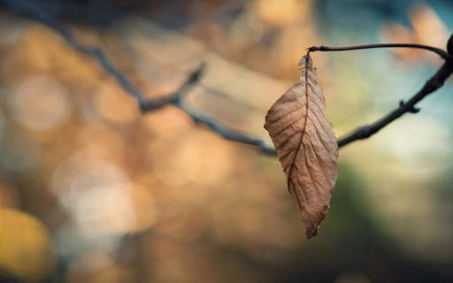 Camera DSLR Pro screenshot 2