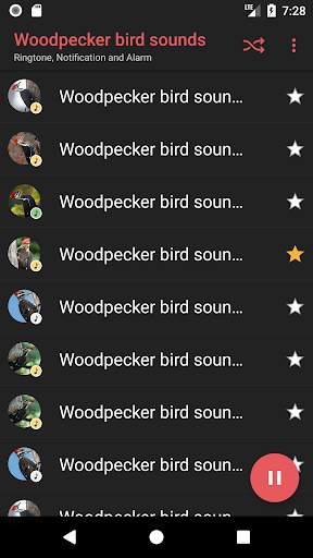 Appp.io - Woodpecker bird sounds screenshot 2