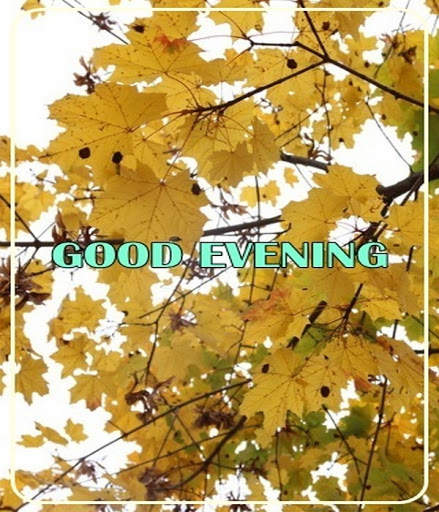 Good Evening Images screenshot 1