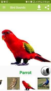 Bird Sound & Pictures screenshot 12