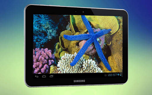 Starfish 3D Free Live Wallpaper screenshot 5