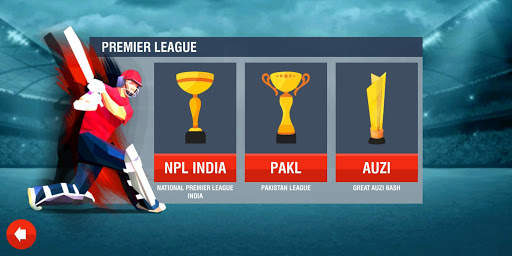 World Cricket Championship screenshot 8