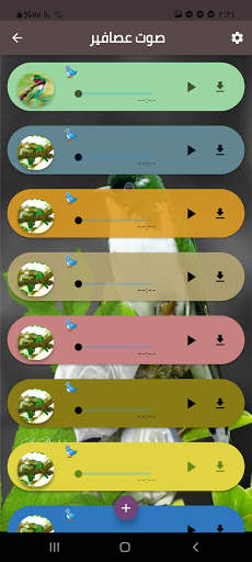 أصوات عصافير Bird sounds screenshot 2
