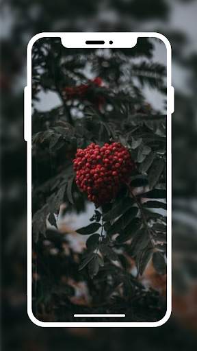 Hd Live Wallpaper screenshot 1