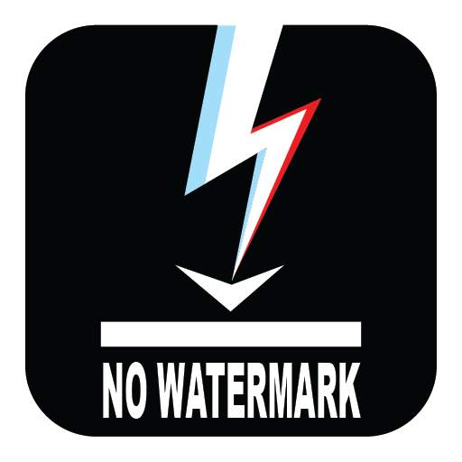 Video Downloader  - No Watermark 1.5