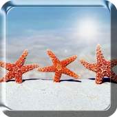 Beach Live Wallpaper 2.0