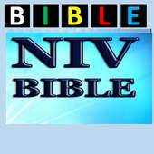NEW INTERNATIONAL BIBLE 51