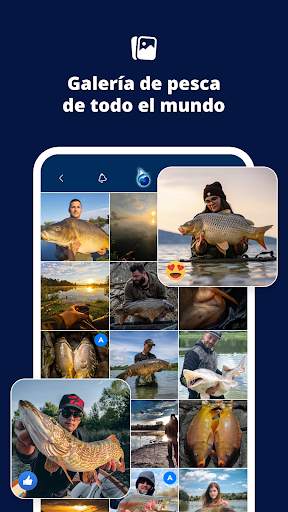FISHSURFING screenshot 2