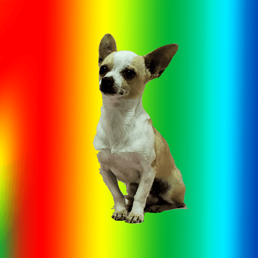 Doggy Ninja icon
