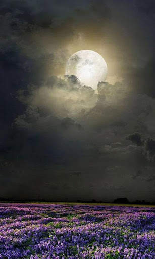 HD Mystic Night Live Wallpaper screenshot 11