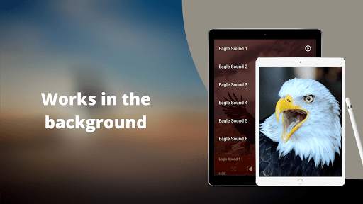 Eagle Sounds - Eagle Sound Ringtone screenshot 3