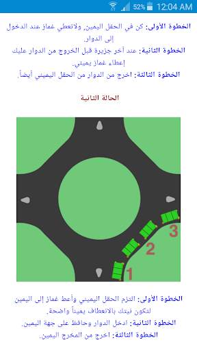 Swedish Driving License screenshot 4