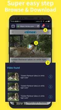 VideoDowner screenshot 2
