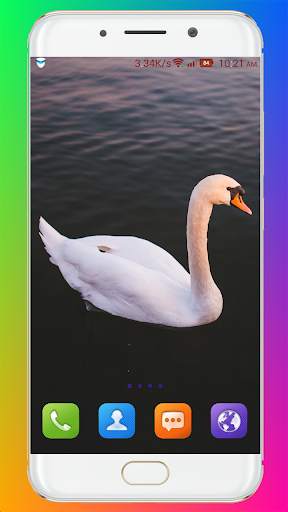 Swan Wallpaper HD screenshot 10