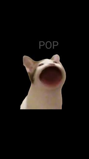 PopCat screenshot 2