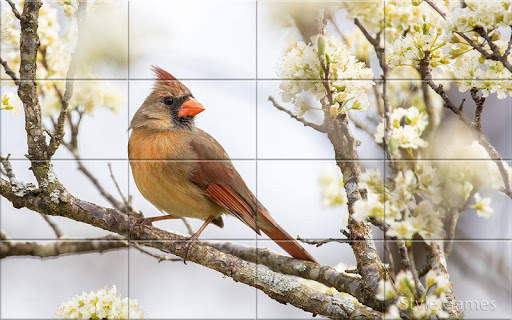 Sparrows Puzzle स्क्रीनशॉट 5