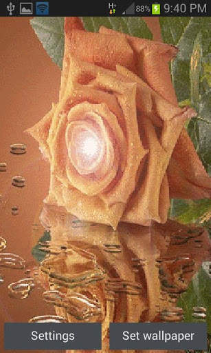 Chocolatey Rose Live Wallpaper screenshot 1