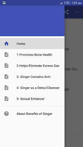 Benefits of Ginger screenshot 2