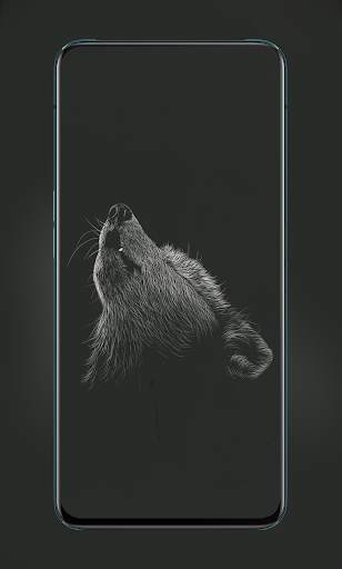 Cute Animal & Birds Wallpaper in 4K - AnimalWallp screenshot 6