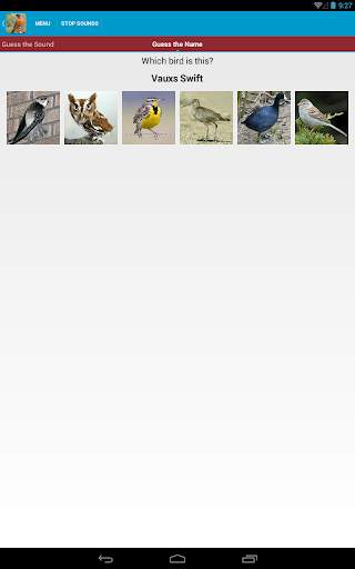 North American Birds Free screenshot 22