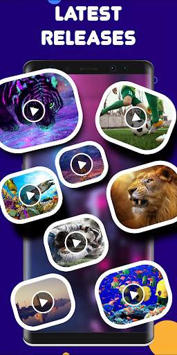 Amazing videos Zone screenshot 3