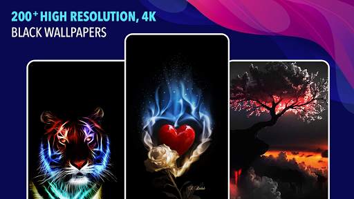 Black Wallpapers - AMOLED Wallpaper screenshot 5