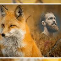 Animal Photo Frames Editor