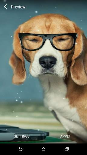 Beagle Live Wallpaper screenshot 3