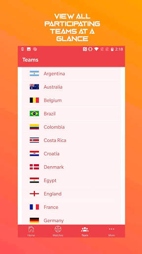 2018 World Cup Soccer screenshot 3