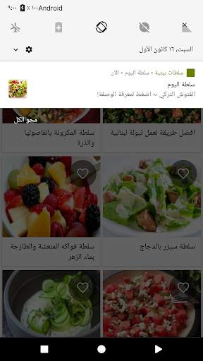 سلطات بيتية (بدون نت) 4 تصوير الشاشة