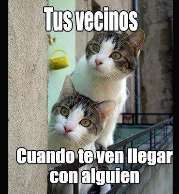 Imagenes chistosas screenshot 19
