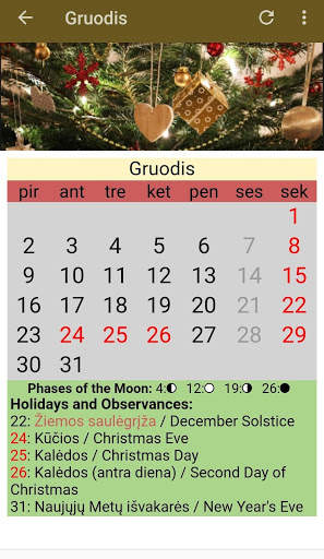 Lithuanian Calendar 2020 скриншот 4