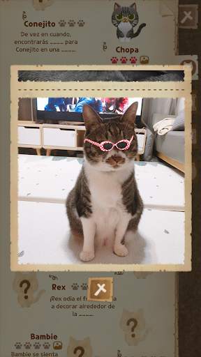 Secret Cat Forest screenshot 6