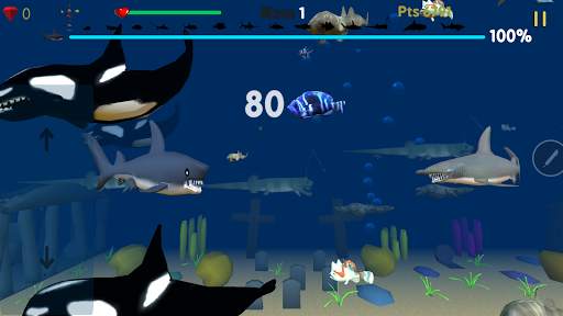 Shark Bite screenshot 11