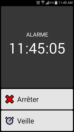 BIG Alarm screenshot 3