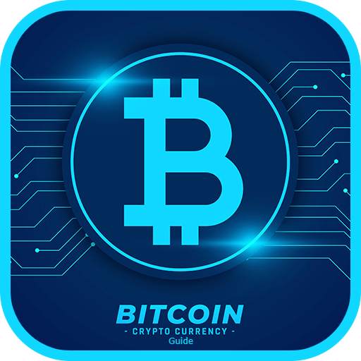 Bitcoin Miner Guide 1.0