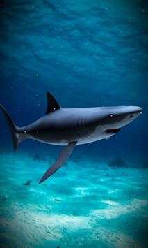 Shark attack lwp Free screenshot 4
