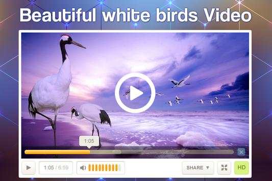 Full HD Video Player screenshot 1